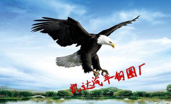 山東凱達(dá)汽車鋼圈廠